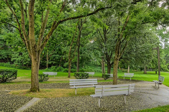 Image of Shirley Futch Plaza (3)