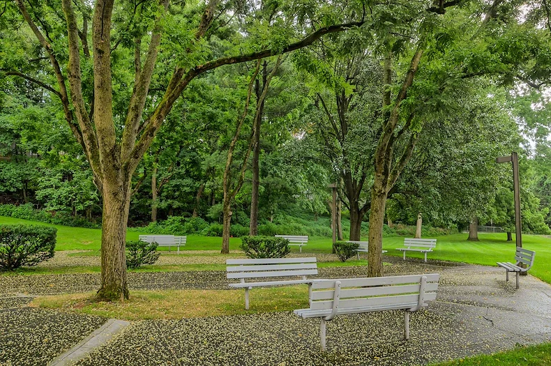 Image of Shirley Futch Plaza (3)