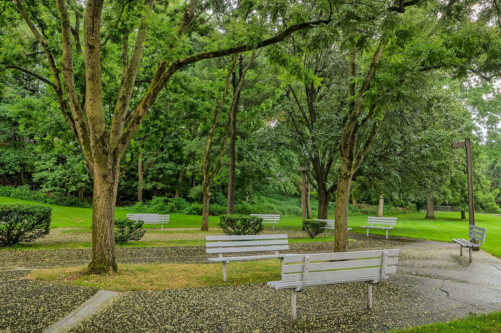 Image of Shirley Futch Plaza (3)