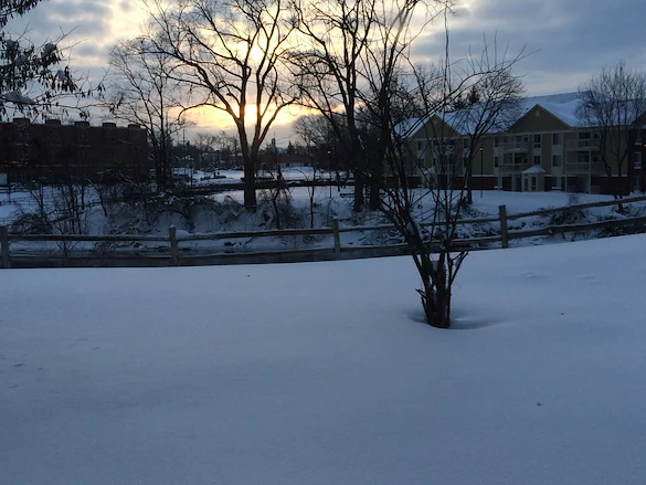 Image of Milton Home Assisted Living (7)