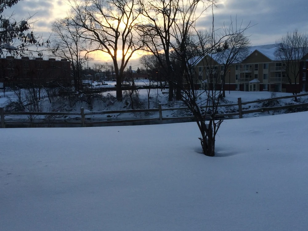 Image of Milton Home Assisted Living (7)