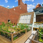 Raised bed resident gardens bloom all year long!