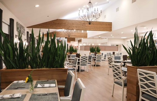 Image of Carlton Senior Living Downtown Pleasant Hill (9)