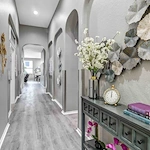 Image of Silver Leaf Frisco (3)