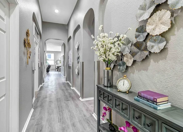 Image of Silver Leaf Frisco (3)