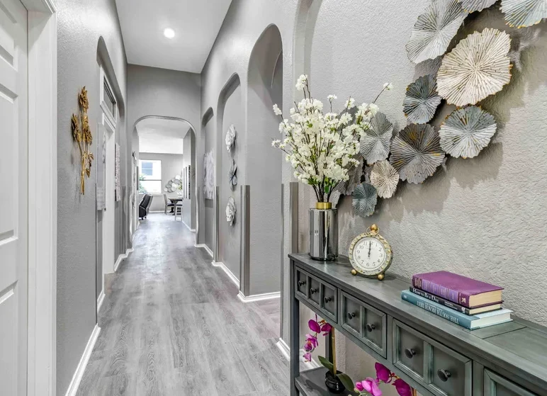 Image of Silver Leaf Frisco (3)