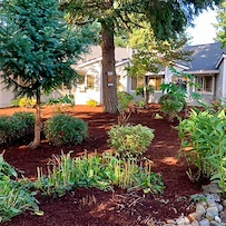 Image of Magnolia Gardens Senior Living (4)