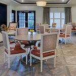 Image of Starling at San Jose (5)