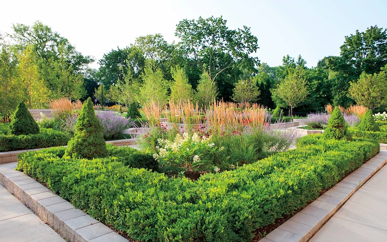 Image of The Mather Evanston Senior Living (5)