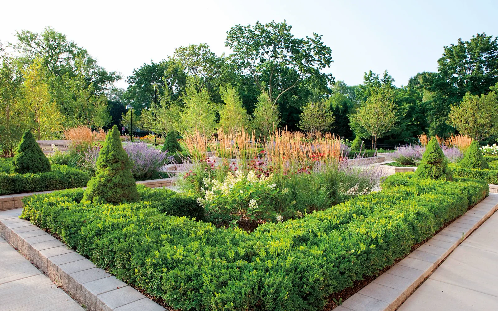 Image of The Mather Evanston Senior Living (5)