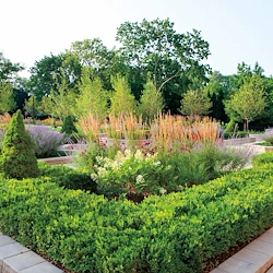 Image of The Mather Evanston Senior Living (5)