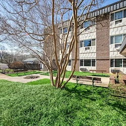 Image of The Rebecca (2)