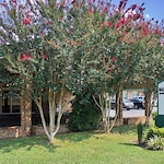 Image of Madison Manor Nursing Home (1)