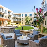 Image of Challigraphy at Napa Valley (9)