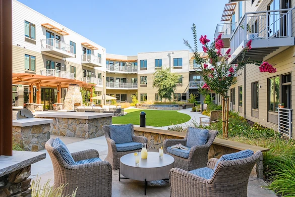 Image of Challigraphy at Napa Valley (9)