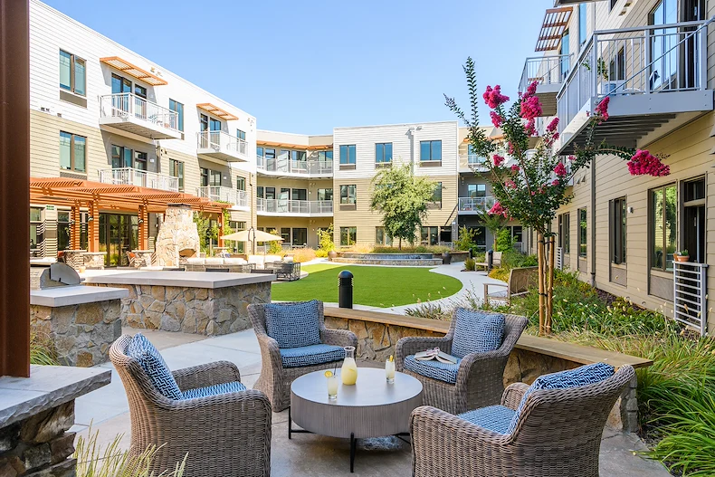 Image of Challigraphy at Napa Valley (9)