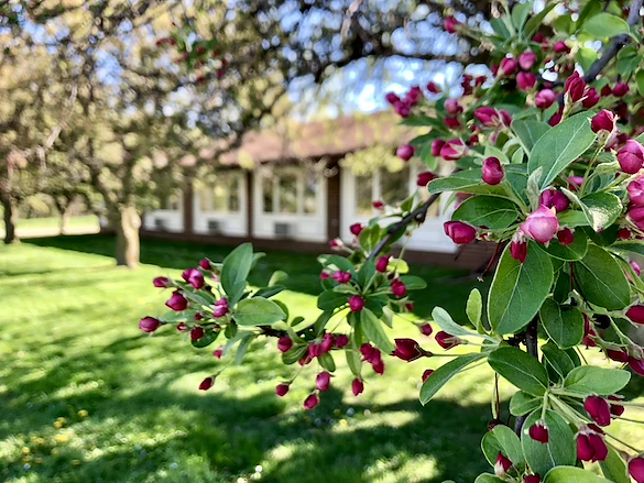 Image of Accura Healthcare Of Newton East, LLC (4)