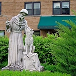 Image of Comprehensive Rehab & Nursing Ctr At Williamsville (2)