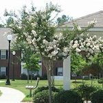 Image of Catoosa Senior Village (2)