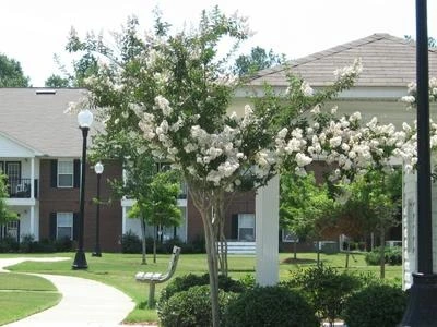 Image of Catoosa Senior Village (2)