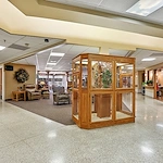 Image of Good Shepherd Services Ltd (7)