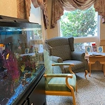 Image of Fountain Springs At Cape May Nursing & Rehab (4)