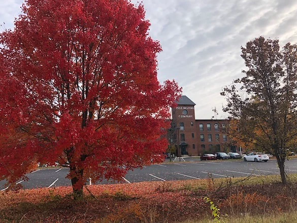 Image of Horseshoe Pond Place (3)