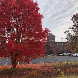 Image of Horseshoe Pond Place (3)