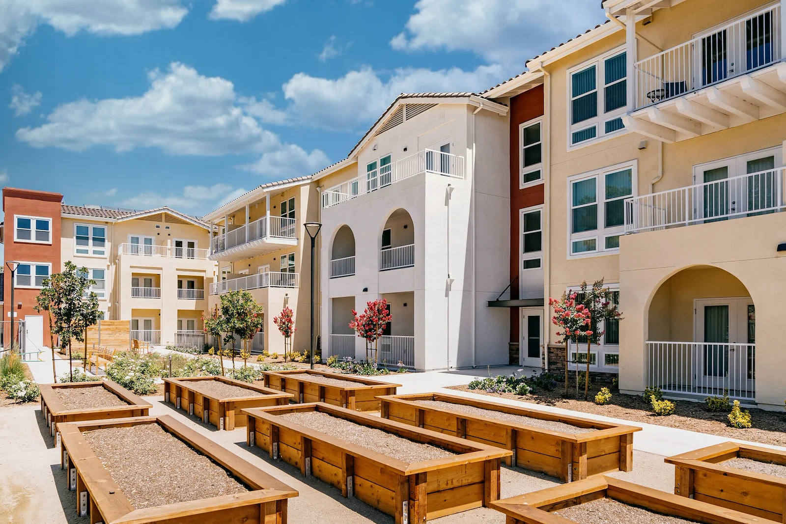 Image of Twin Oaks Senior (8)