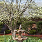 Image of Colonial Nursing And Rehabilitation Center (2)