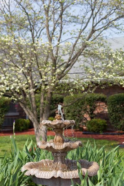 Image of Colonial Nursing And Rehabilitation Center (2)