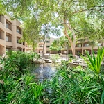 Image of Thunderbird (1)