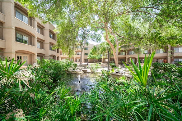 Image of Thunderbird (1)