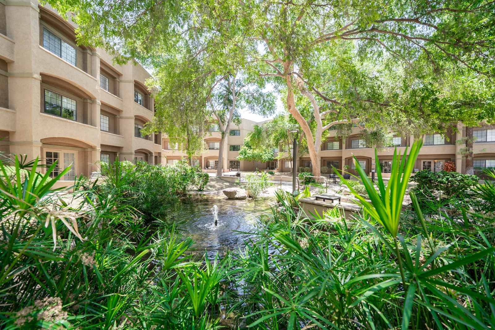 Image of Thunderbird (1)