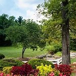 Image of Delmar Gardens Of Meramec Valley (8)