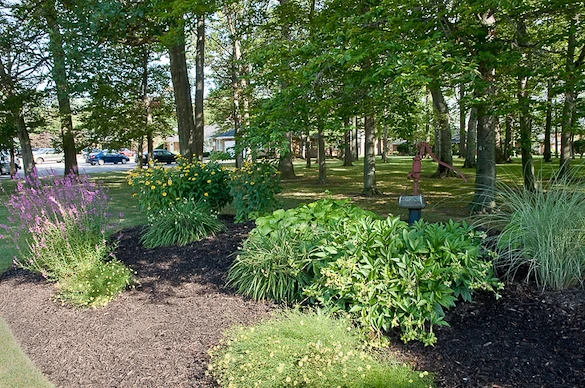 Image of Life Care Center Of Medina (7)