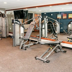 Image of The Grainwood (4)