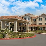 Image of The Orchard Sky (1)