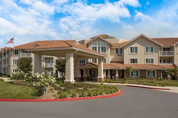 Image of The Orchard Sky (1)