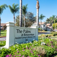 Image of Palms at Bonaventure (1)