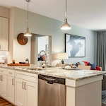 Image of Canvas Valley Forge (4)