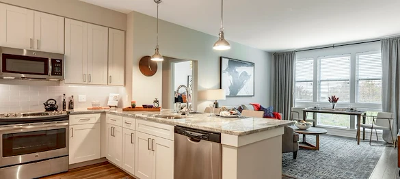 Image of Canvas Valley Forge (4)