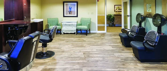 Image of Volante of Eugene (3)