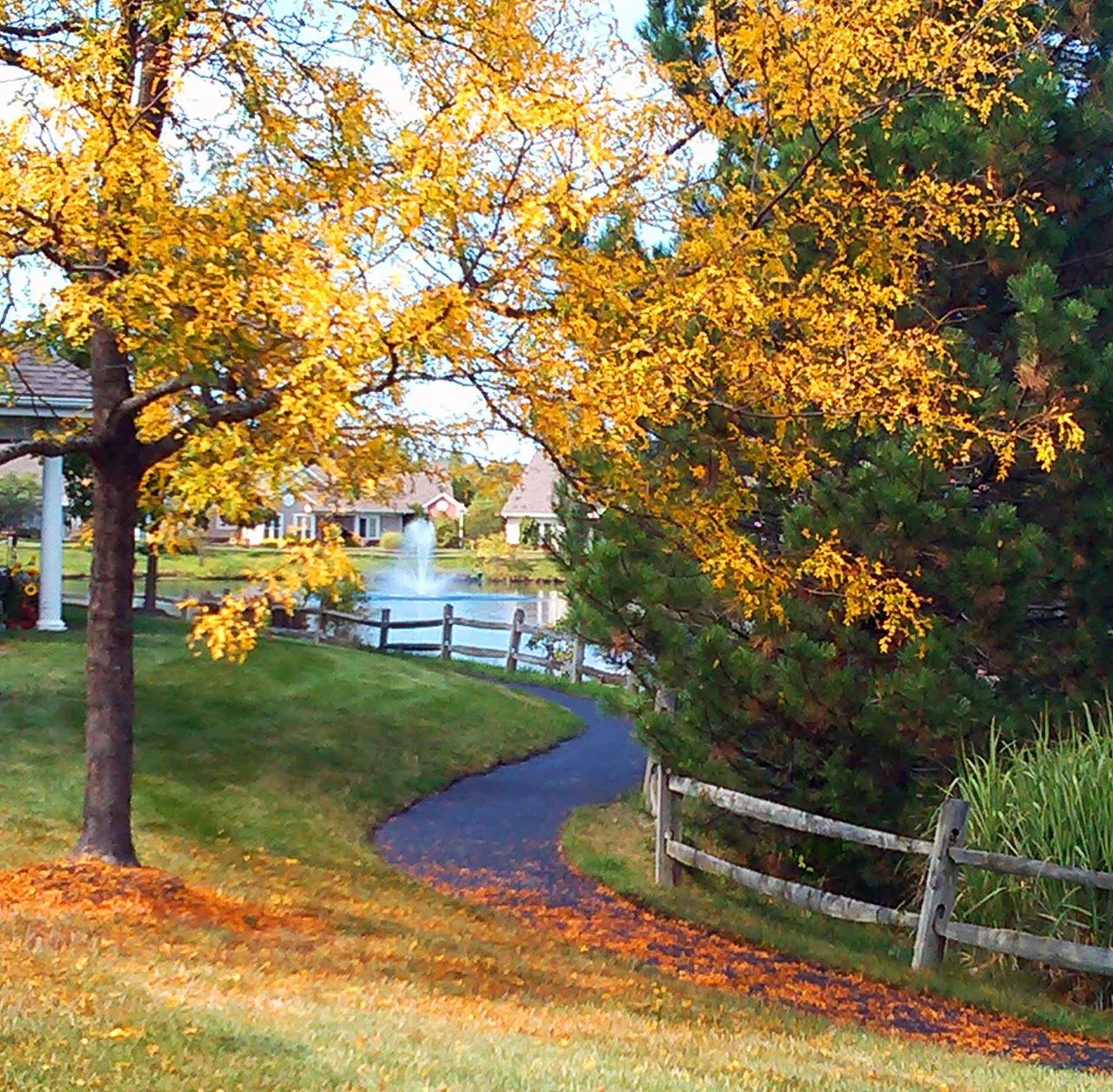 Image of Wesleyan Meadows (3)