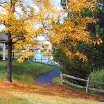 Image of Wesleyan Meadows (3)