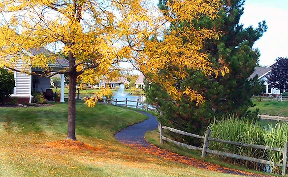 Image of Wesleyan Meadows (3)