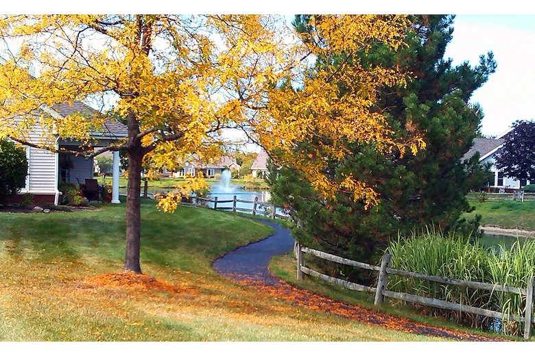 Image of Wesleyan Meadows (3)