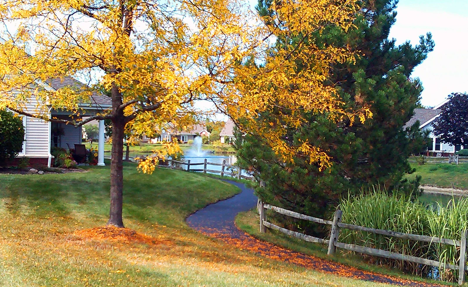 Image of Wesleyan Meadows (3)