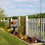 Image of Mulberry Health & Rehabilitation (5)