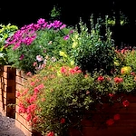 Image of Mary's Woods (10)